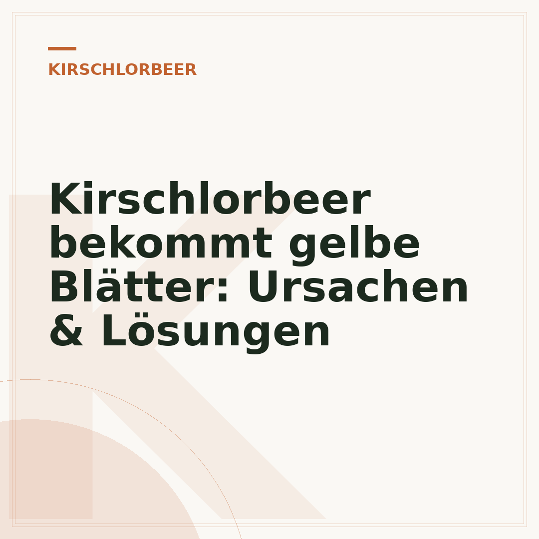 Kirschlorbeer bekommt gelbe Blätter: Ursachen & Lösungen