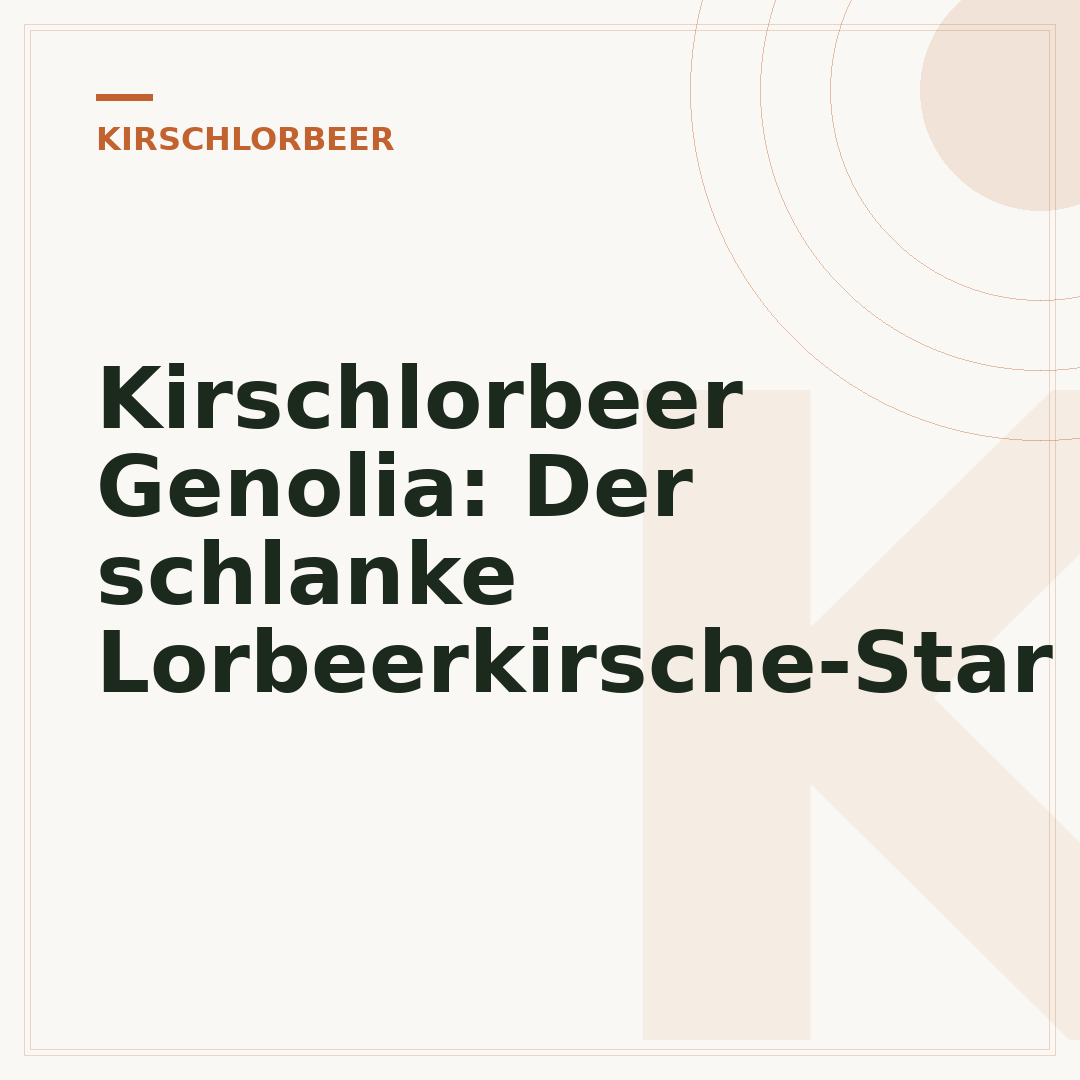 Kirschlorbeer Genolia: Der schlanke Lorbeerkirsche-Star