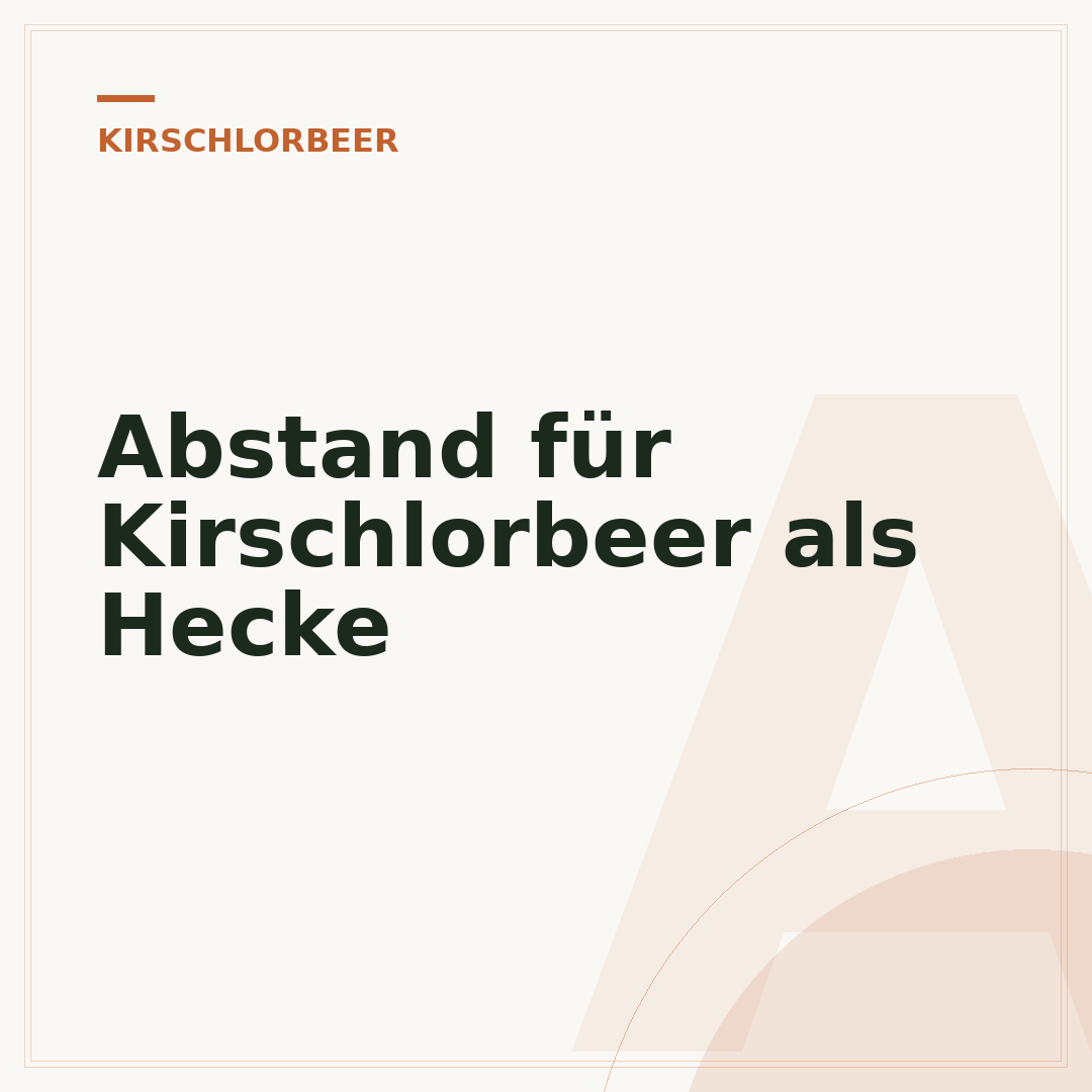 Abstand für Kirschlorbeer als Hecke
