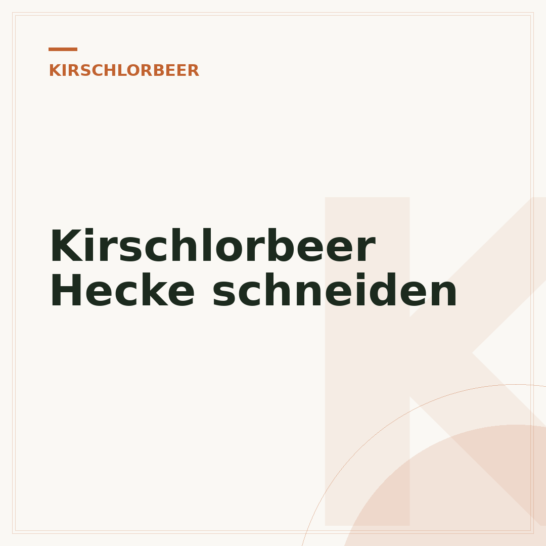 Kirschlorbeer Hecke schneiden