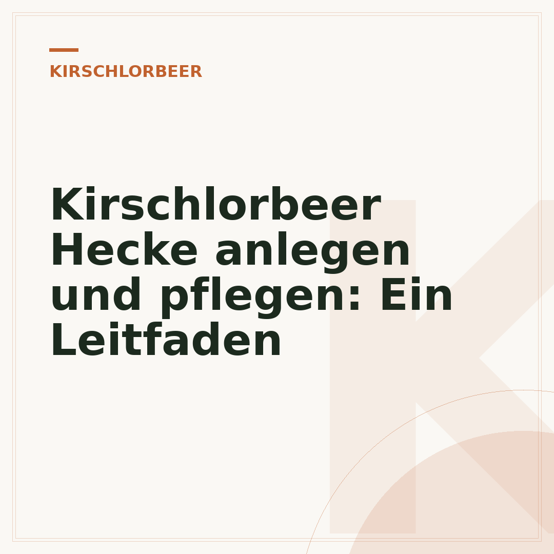 Kirschlorbeer Hecke anlegen und pflegen: Ein Leitfaden