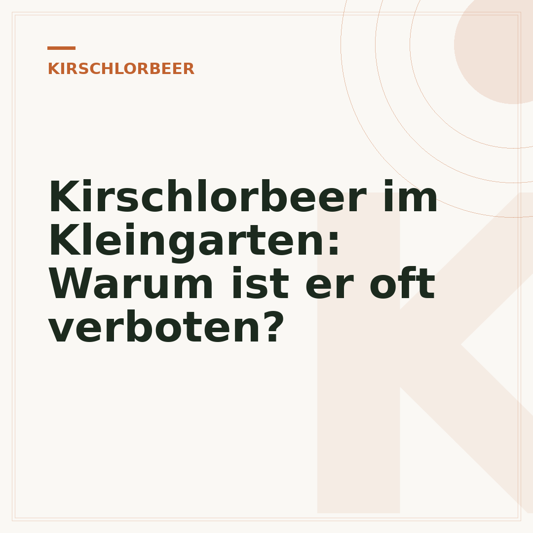 Kirschlorbeer im Kleingarten: Warum ist er oft verboten?