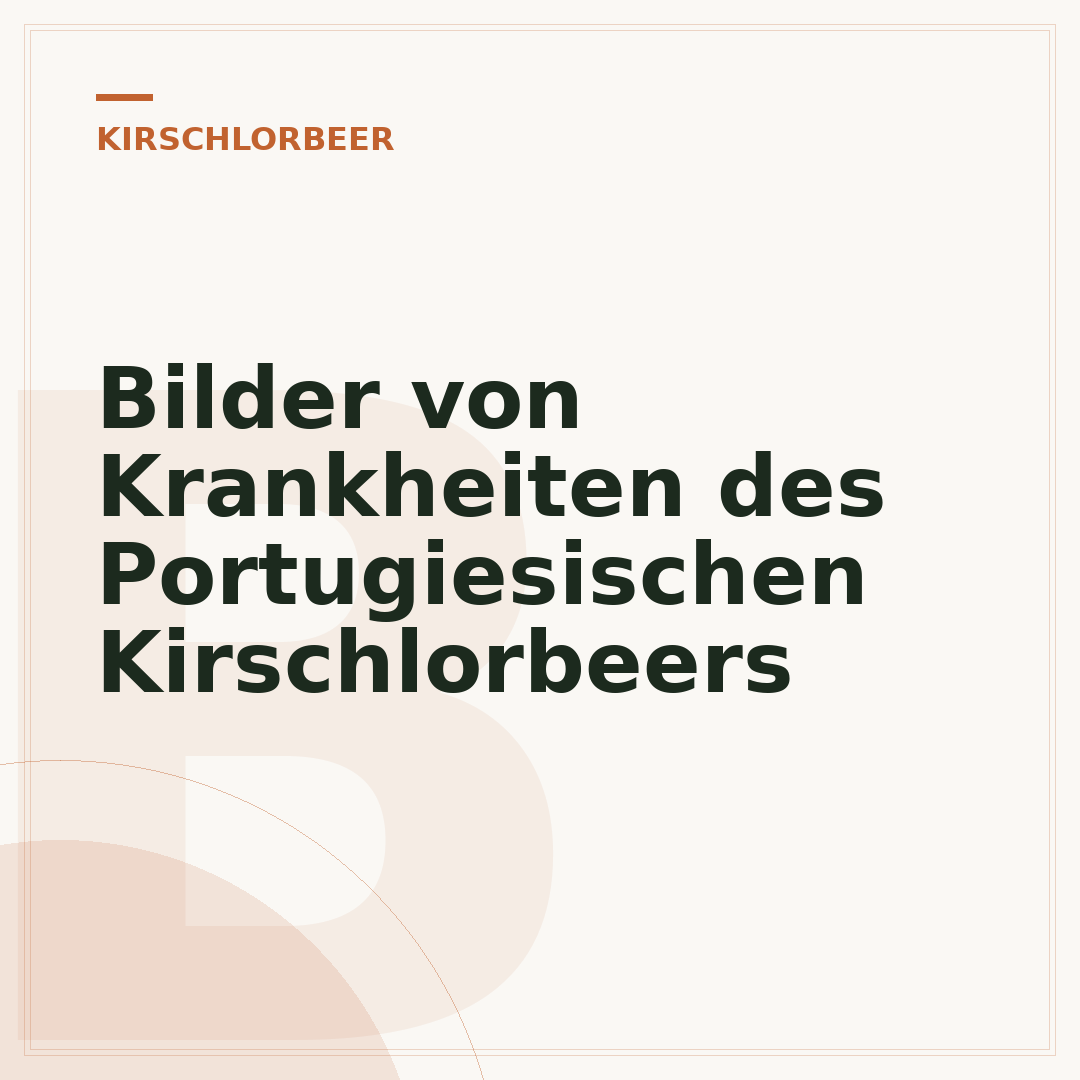 Bilder von Krankheiten des Portugiesischen Kirschlorbeers
