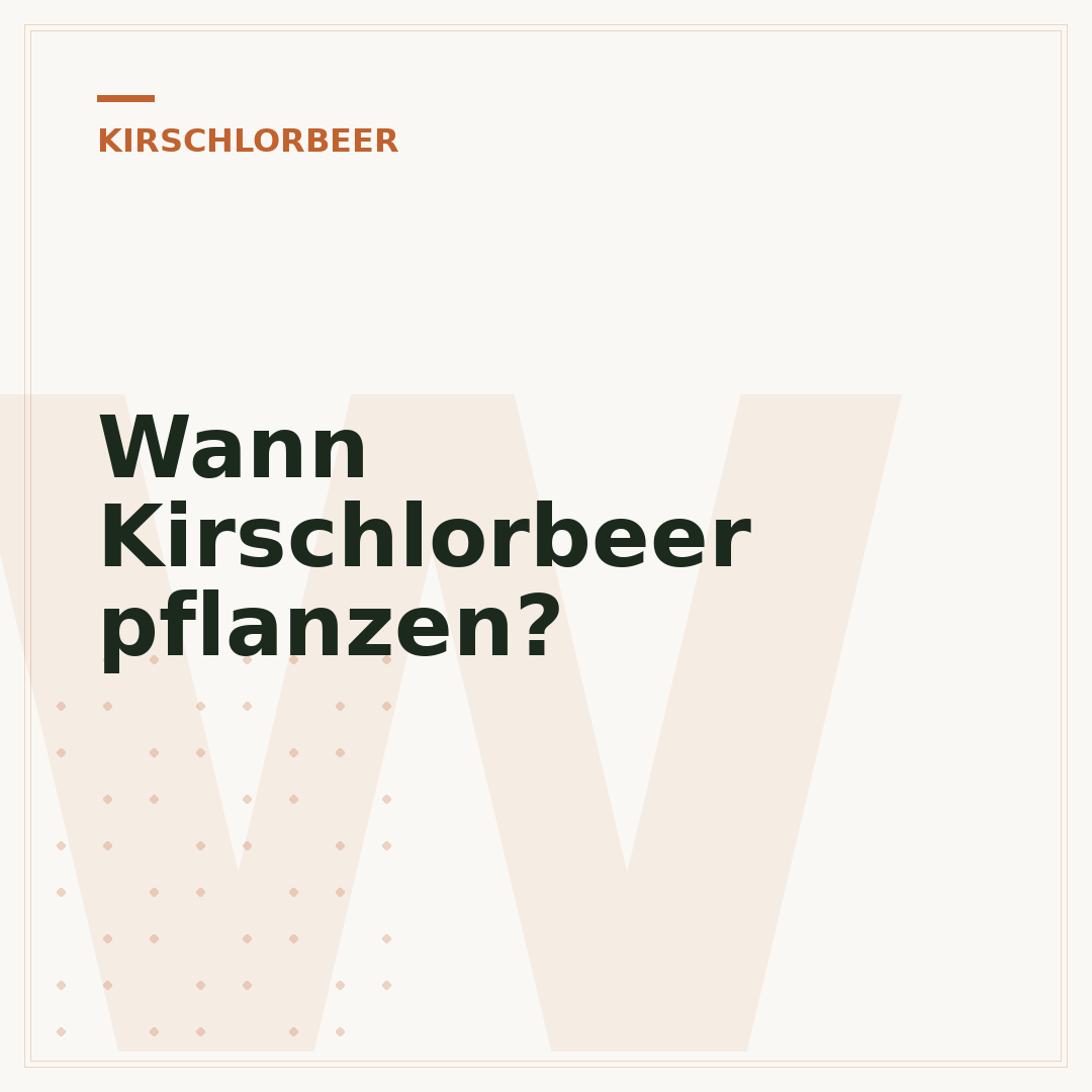 Wann Kirschlorbeer pflanzen?
