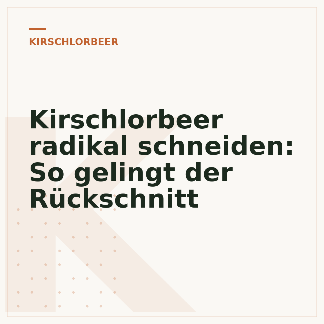Kirschlorbeer radikal schneiden: So gelingt der Rückschnitt
