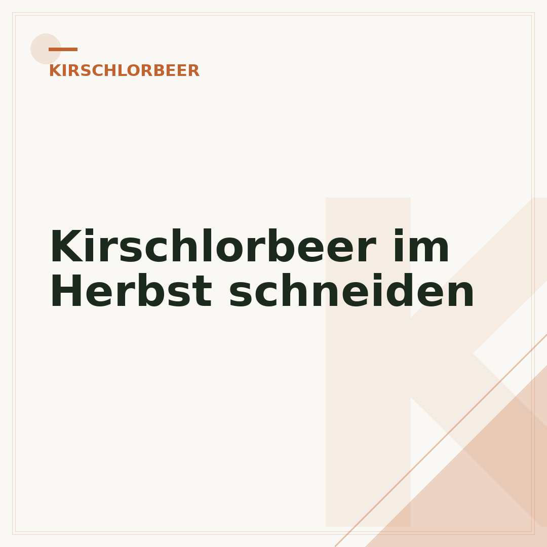 Kirschlorbeer im Herbst schneiden