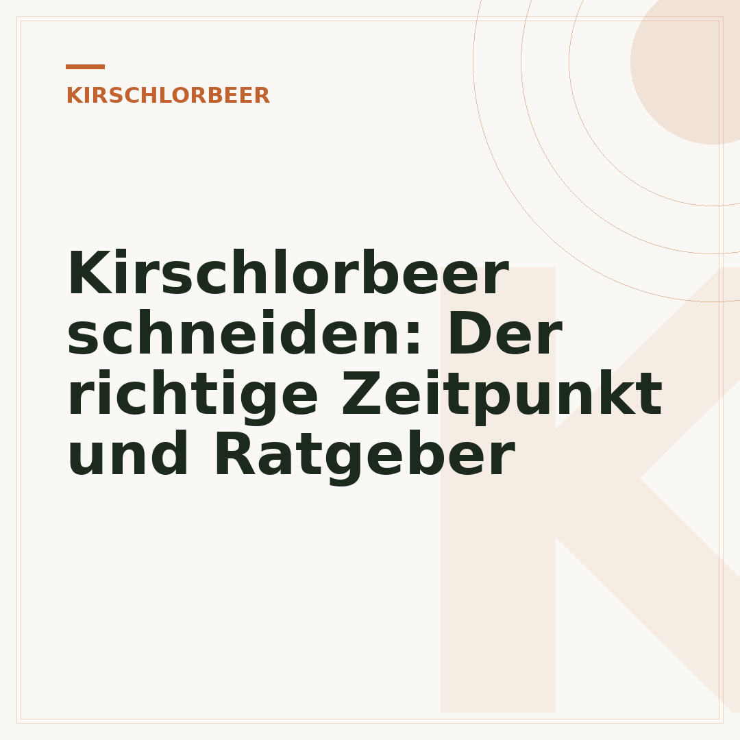 Kirschlorbeer schneiden: Der richtige Zeitpunkt und Ratgeber