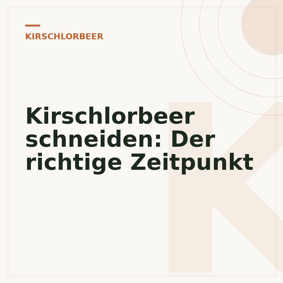 Kirschlorbeer schneiden: Der richtige Zeitpunkt