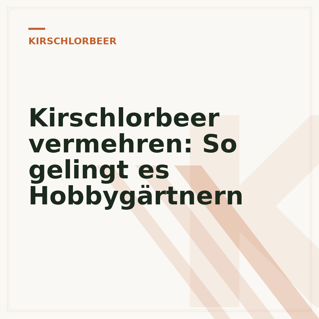 Kirschlorbeer vermehren: So gelingt es Hobbygärtnern
