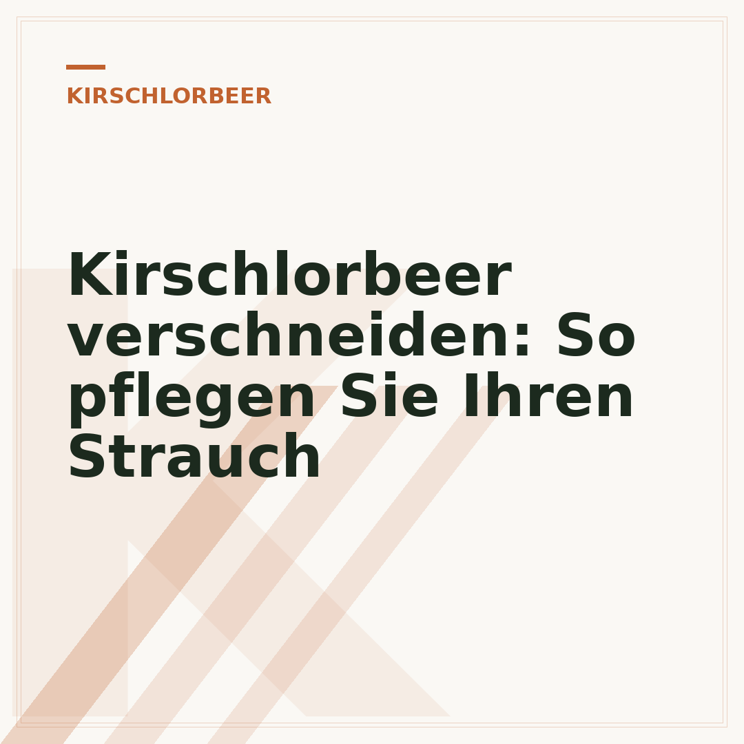 Kirschlorbeer verschneiden: So pflegen Sie Ihren Strauch