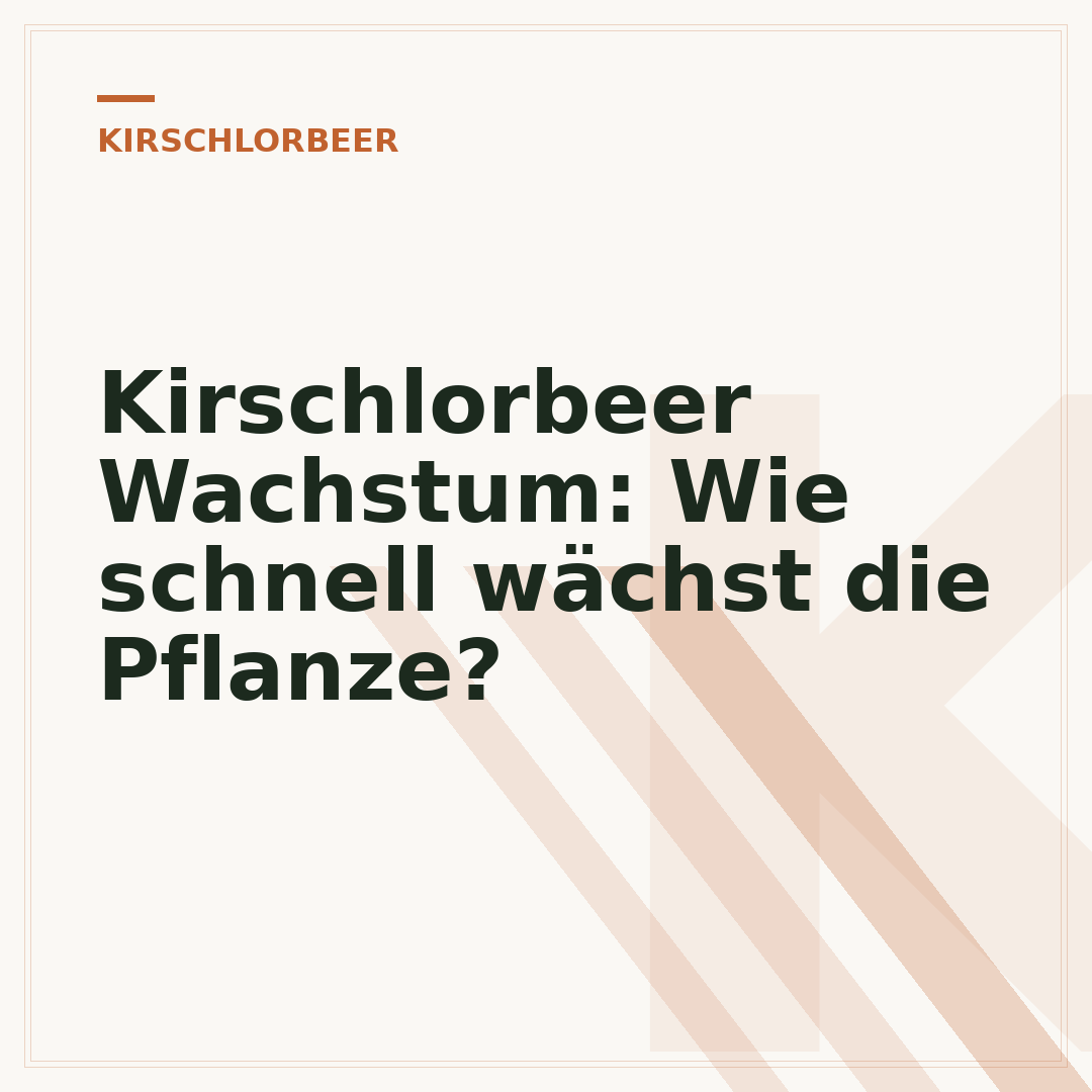 Kirschlorbeer Wachstum: Wie schnell wächst die Pflanze?
