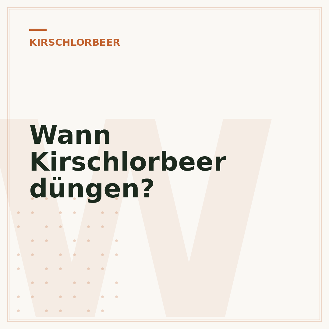 Wann Kirschlorbeer düngen?