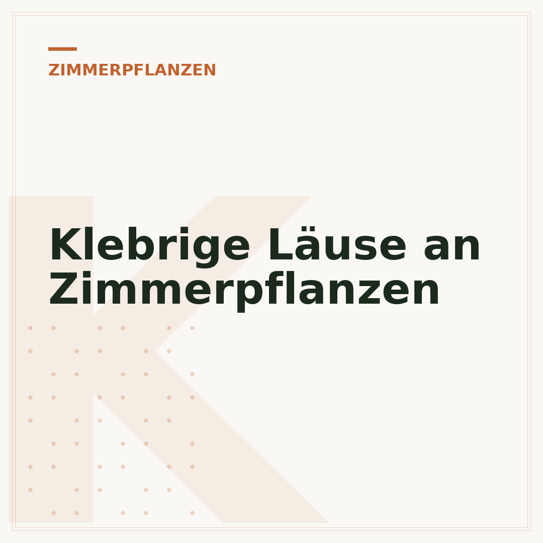 Klebrige Läuse an Zimmerpflanzen