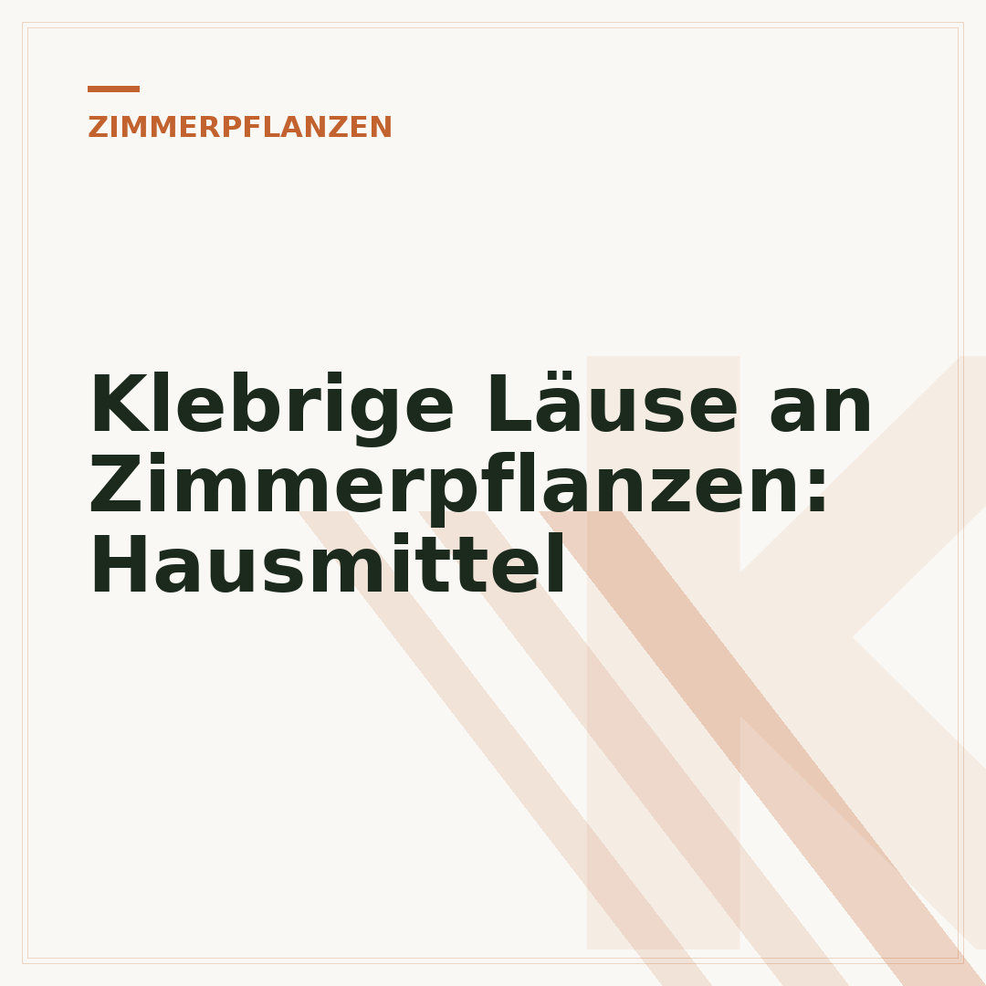 Klebrige Läuse an Zimmerpflanzen: Hausmittel
