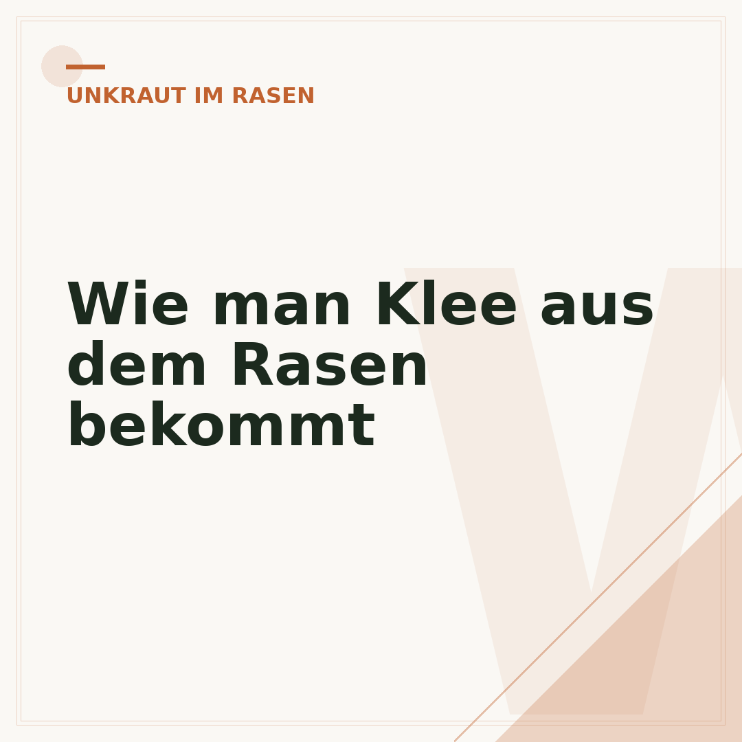 Wie man Klee aus dem Rasen bekommt