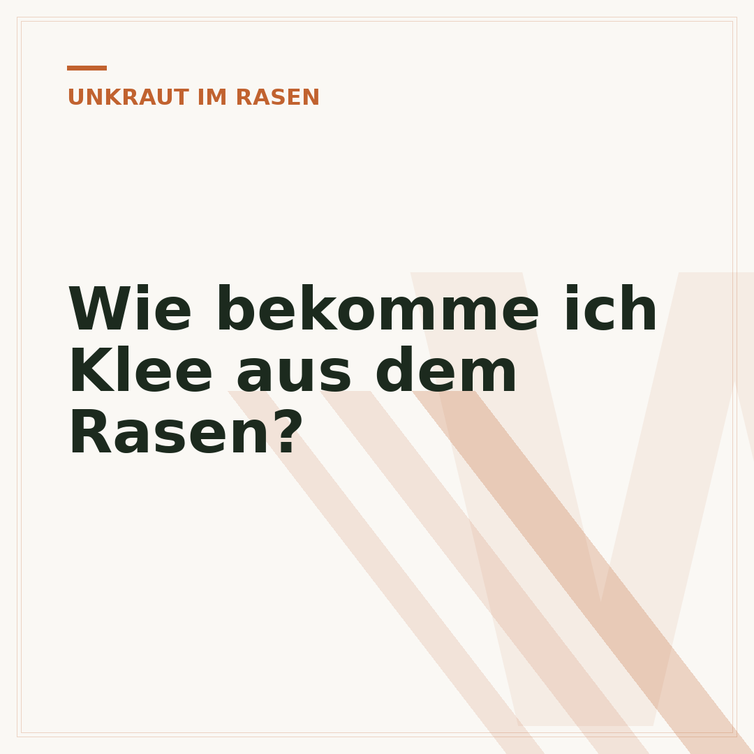 Wie bekomme ich Klee aus dem Rasen?