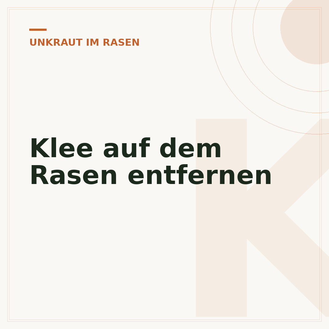 Klee auf dem Rasen entfernen
