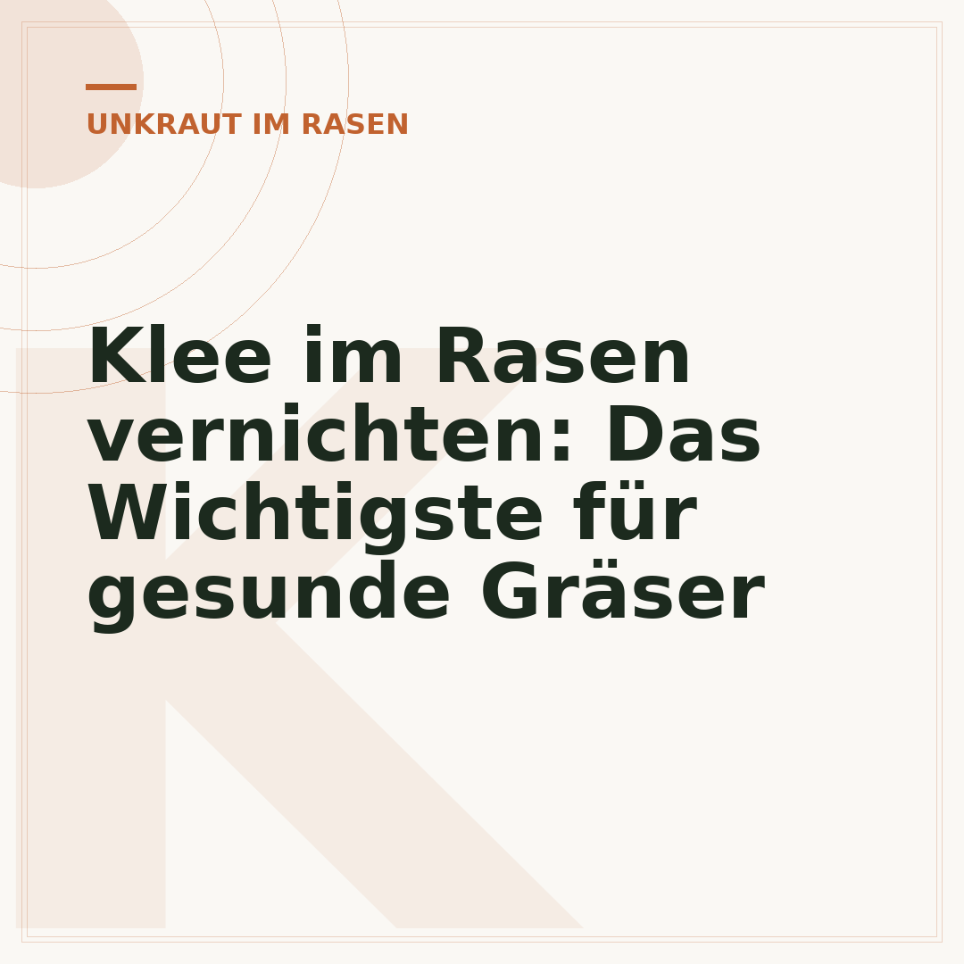 Klee im Rasen vernichten: Das Wichtigste für gesunde Gräser