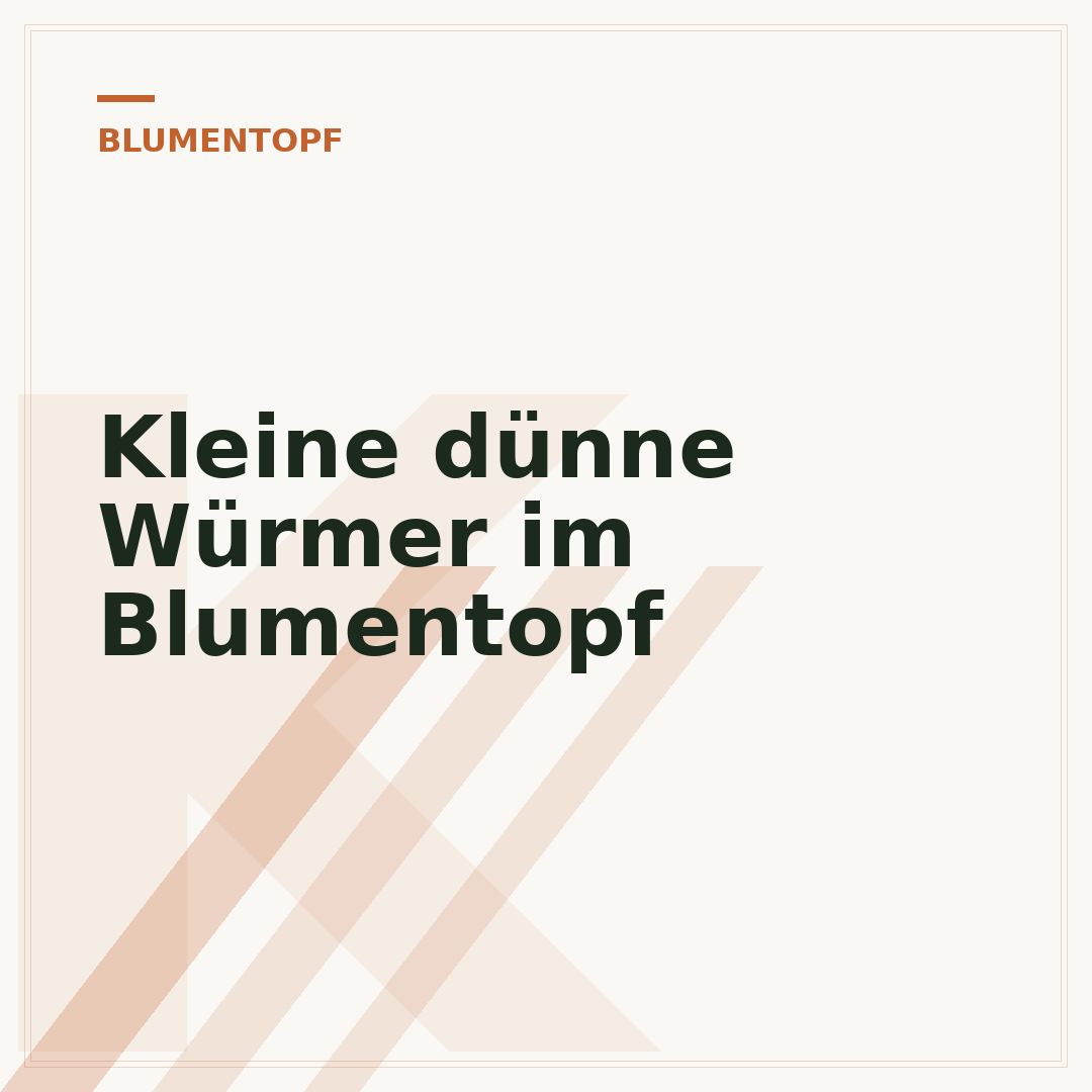 Kleine dünne Würmer im Blumentopf