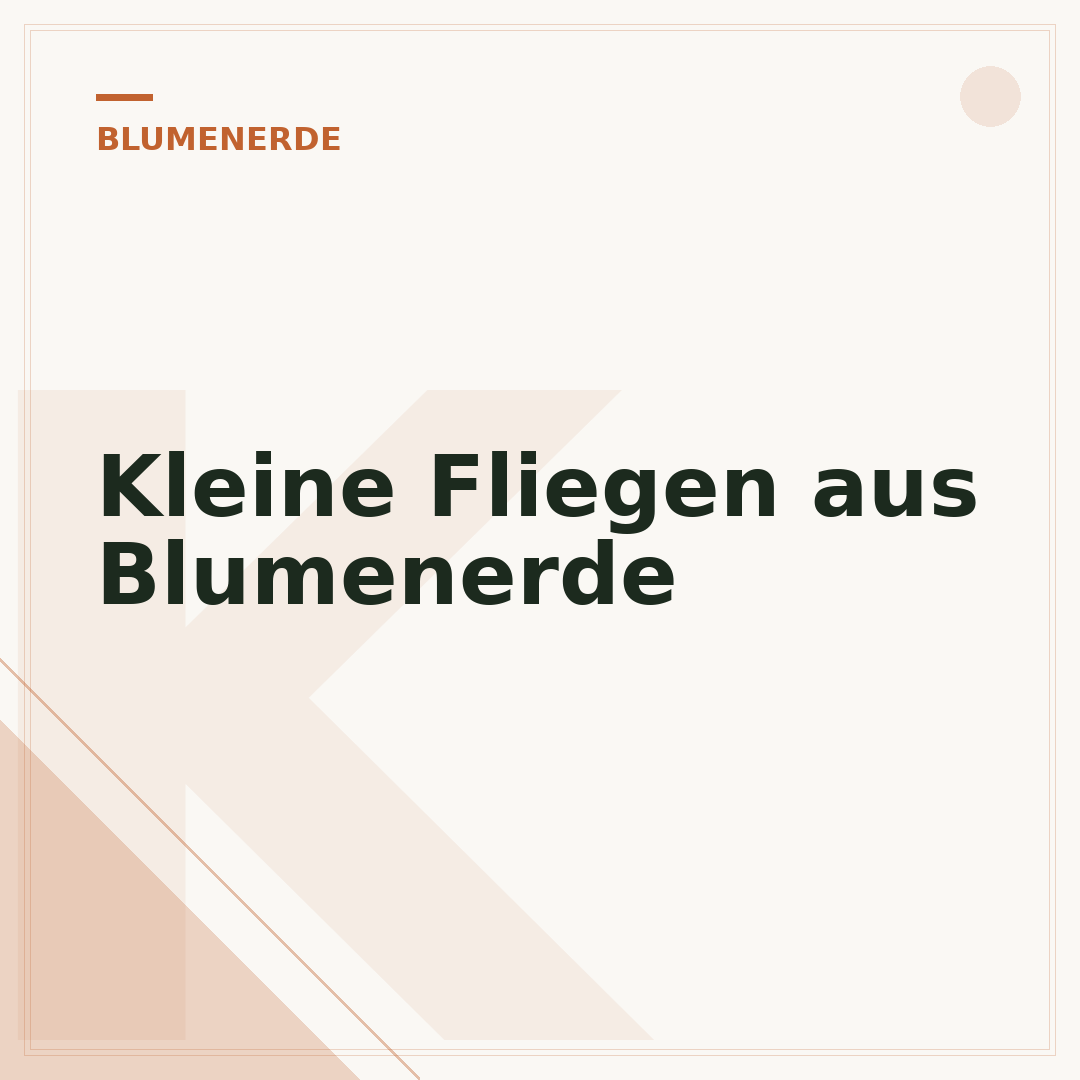 Kleine Fliegen aus Blumenerde