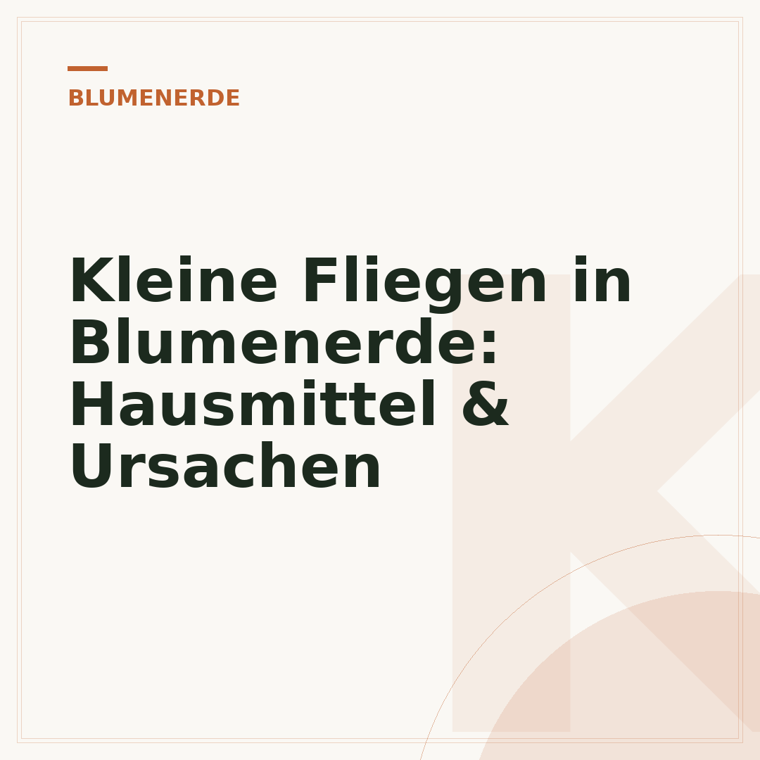 Kleine Fliegen in Blumenerde: Hausmittel & Ursachen
