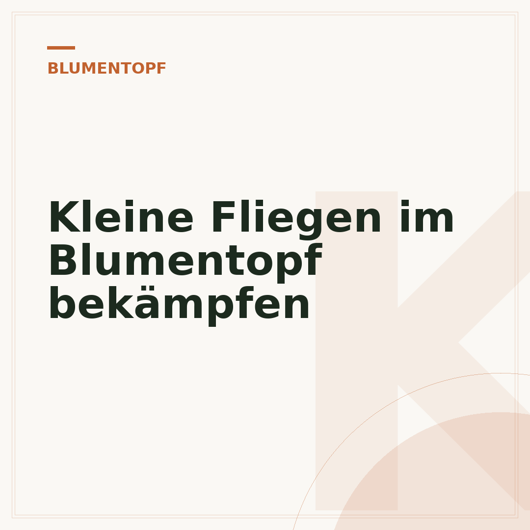 Kleine Fliegen im Blumentopf bekämpfen