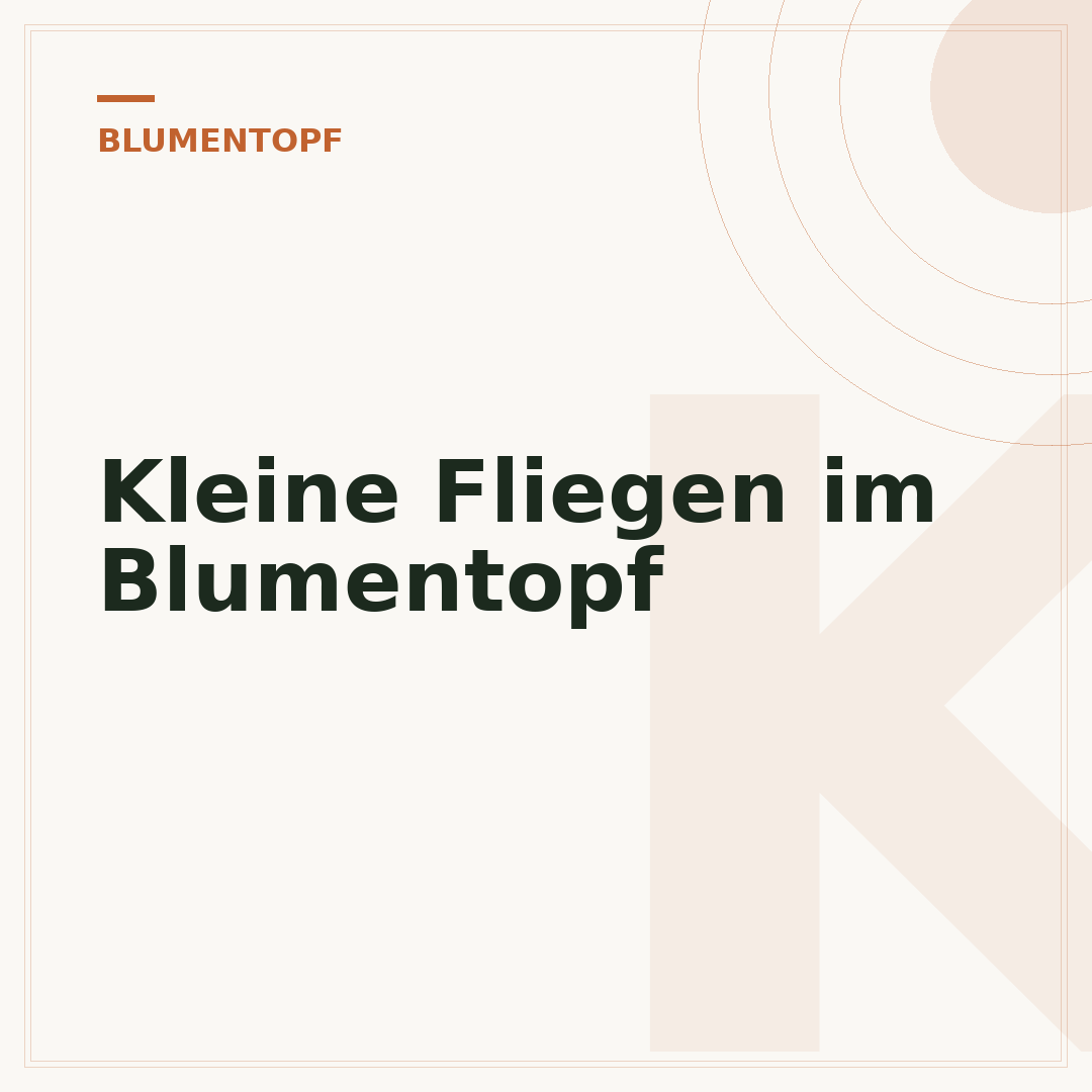 Kleine Fliegen im Blumentopf