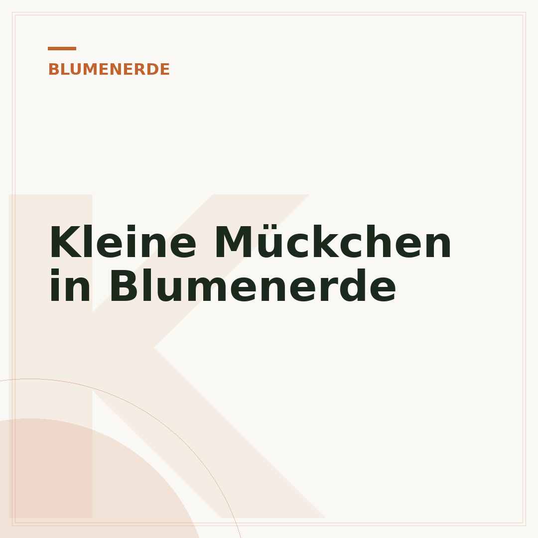 Kleine Mückchen in Blumenerde