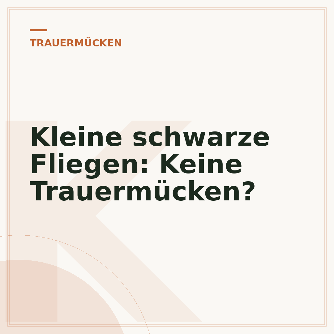 Kleine schwarze Fliegen: Keine Trauermücken?