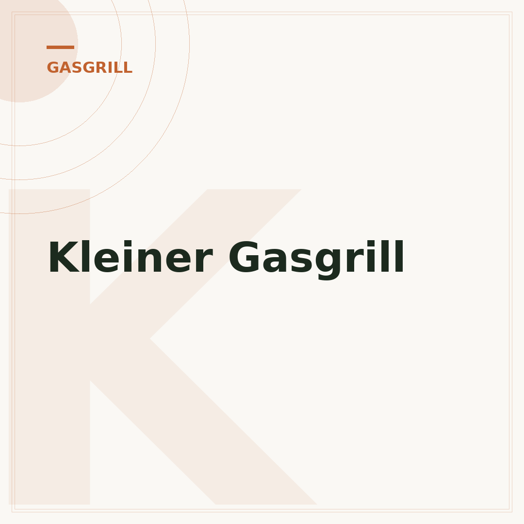Kleiner Gasgrill