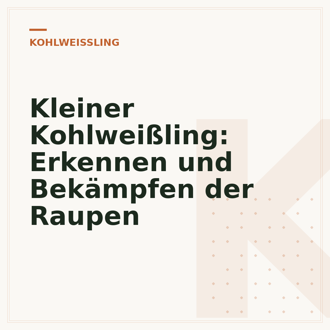 Kleiner Kohlweißling: Erkennen und Bekämpfen der Raupen
