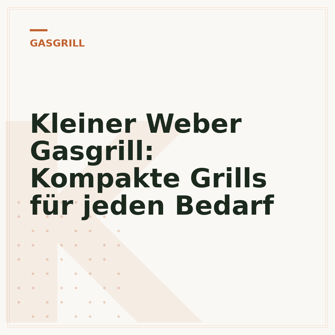 Kleiner Weber Gasgrill: Kompakte Grills für jeden Bedarf