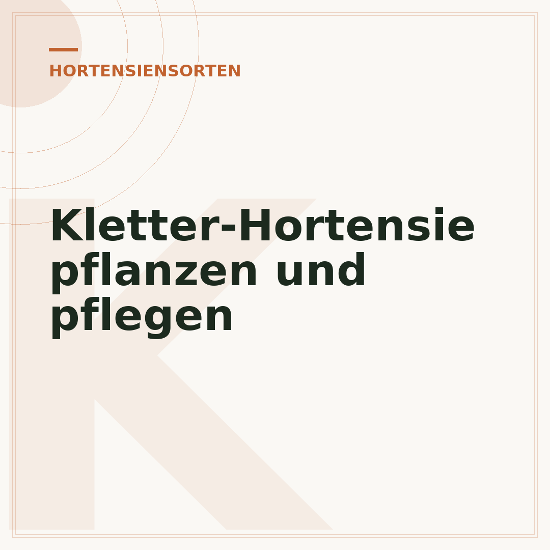 Kletter-Hortensie pflanzen und pflegen
