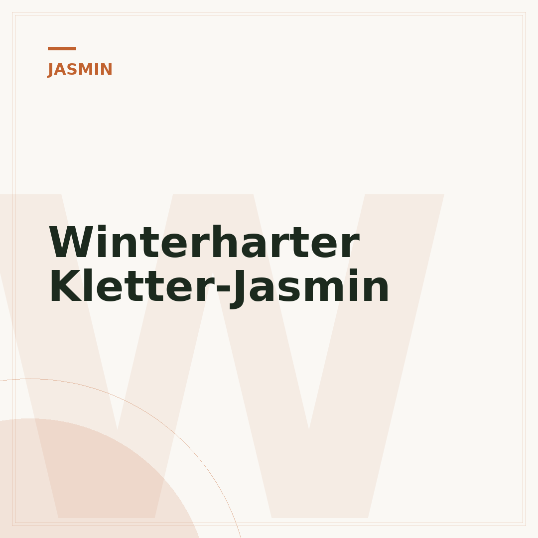 Winterharter Kletter-Jasmin