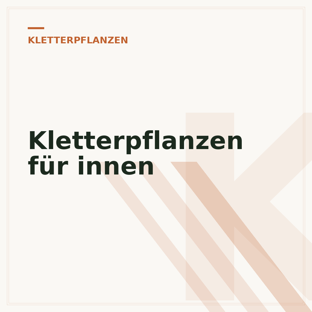 Kletterpflanzen für innen