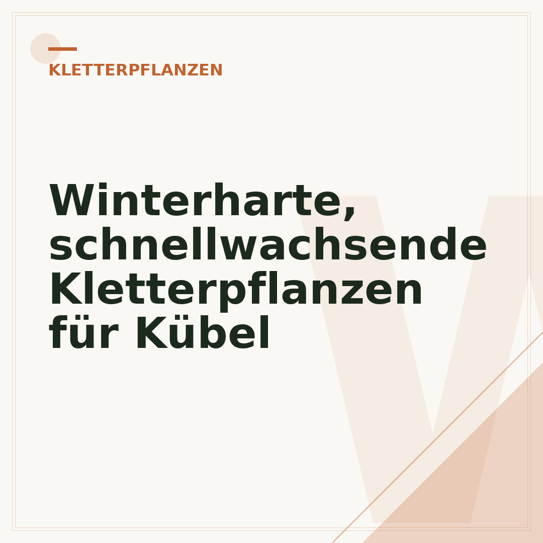 Winterharte, schnellwachsende Kletterpflanzen für Kübel