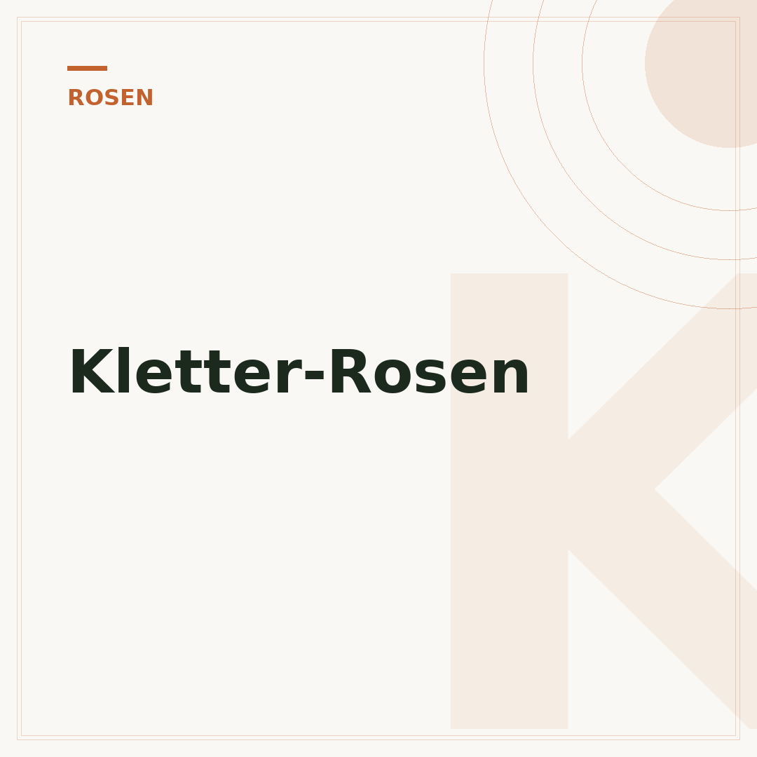 Kletter-Rosen