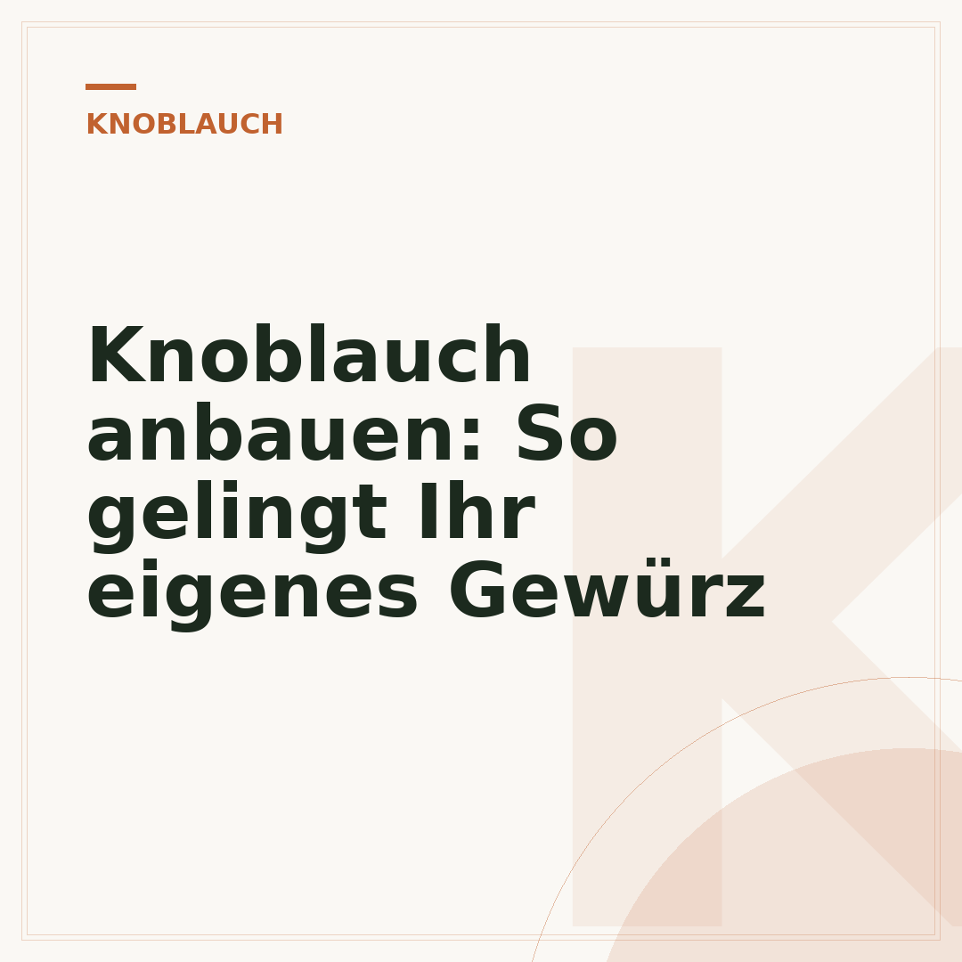 Knoblauch anbauen: So gelingt Ihr eigenes Gewürz