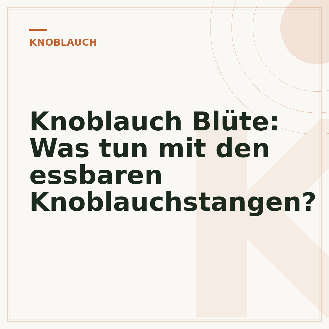 Knoblauch Blüte: Was tun mit den essbaren Knoblauchstangen?