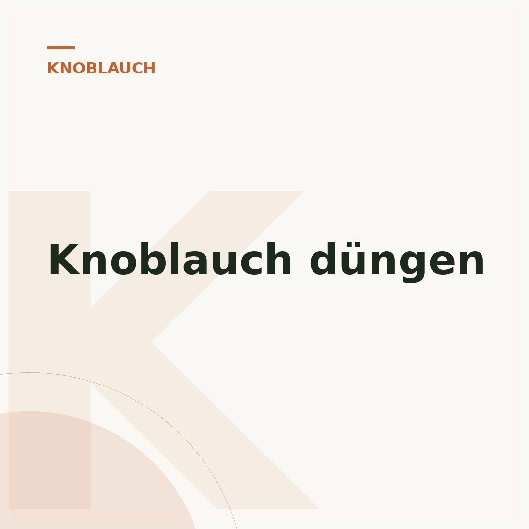 Knoblauch düngen