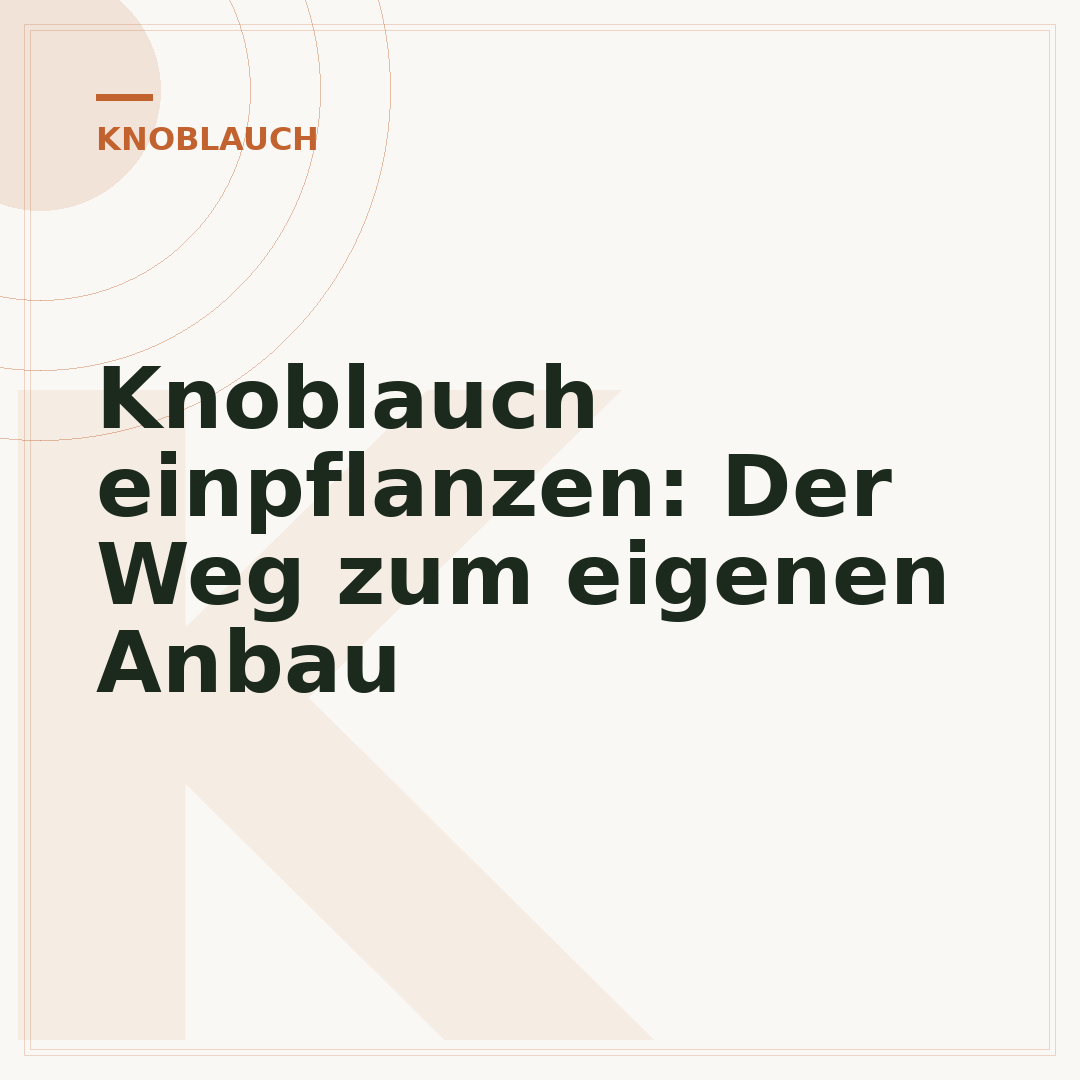 Knoblauch einpflanzen: Der Weg zum eigenen Anbau