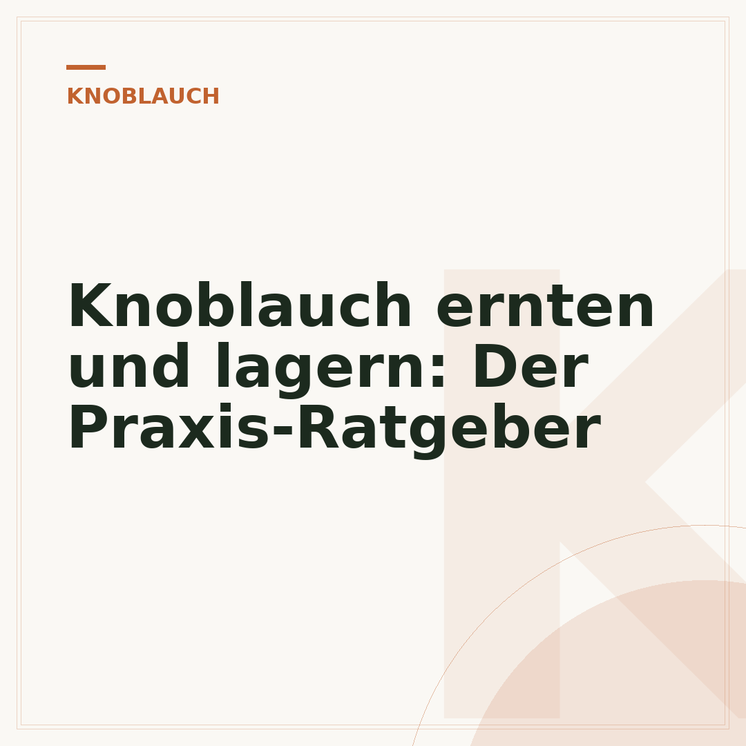 Knoblauch ernten und lagern: Der Praxis-Ratgeber