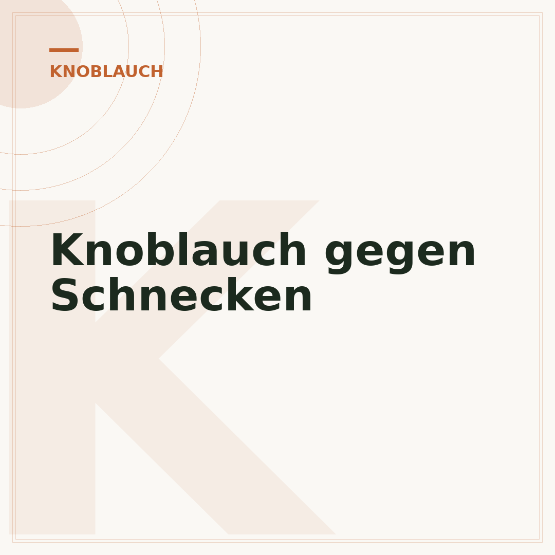 Knoblauch gegen Schnecken