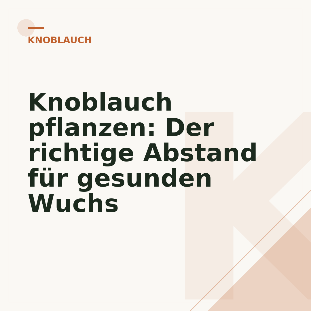 Knoblauch pflanzen: Der richtige Abstand für gesunden Wuchs