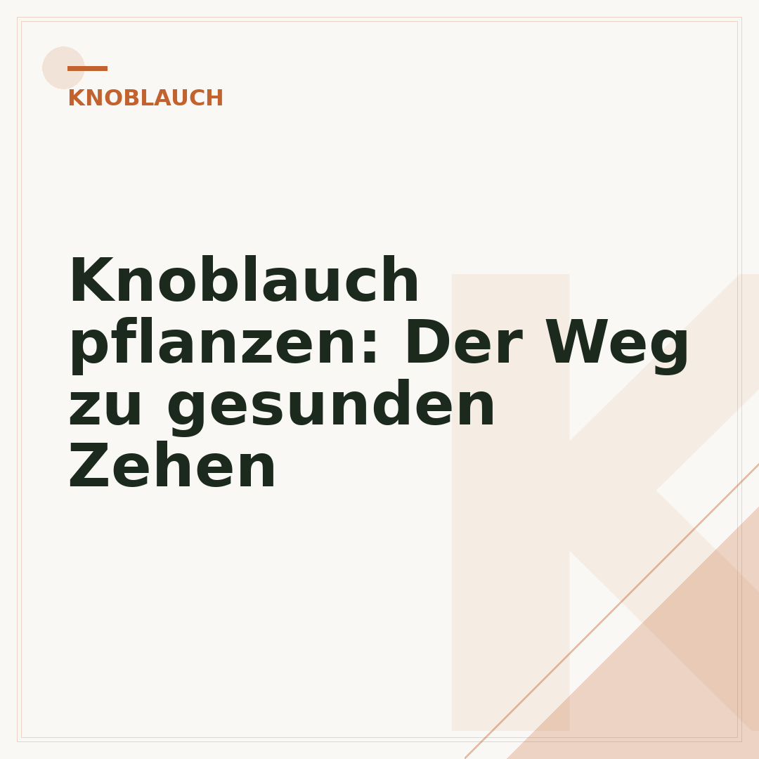 Knoblauch pflanzen: Der Weg zu gesunden Zehen