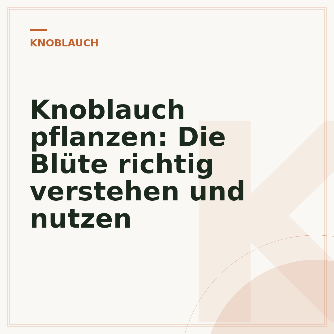 Knoblauch pflanzen: Die Blüte richtig verstehen und nutzen
