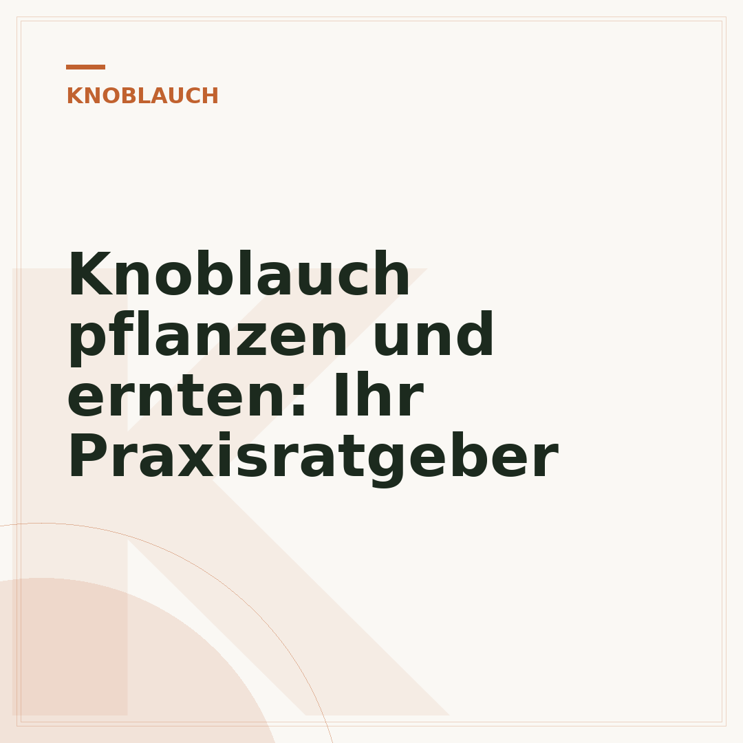 Knoblauch pflanzen und ernten: Ihr Praxisratgeber