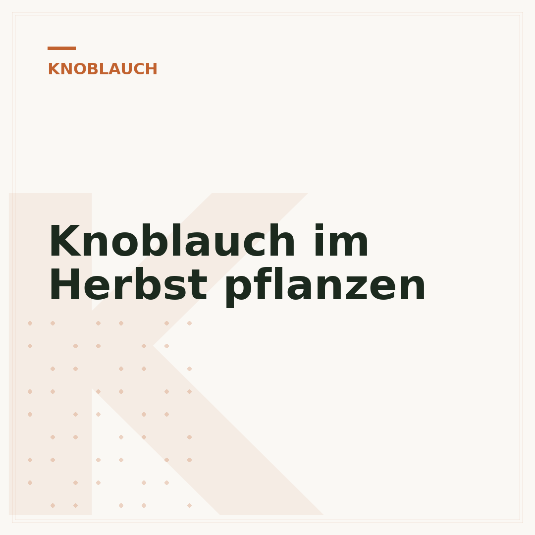 Knoblauch im Herbst pflanzen