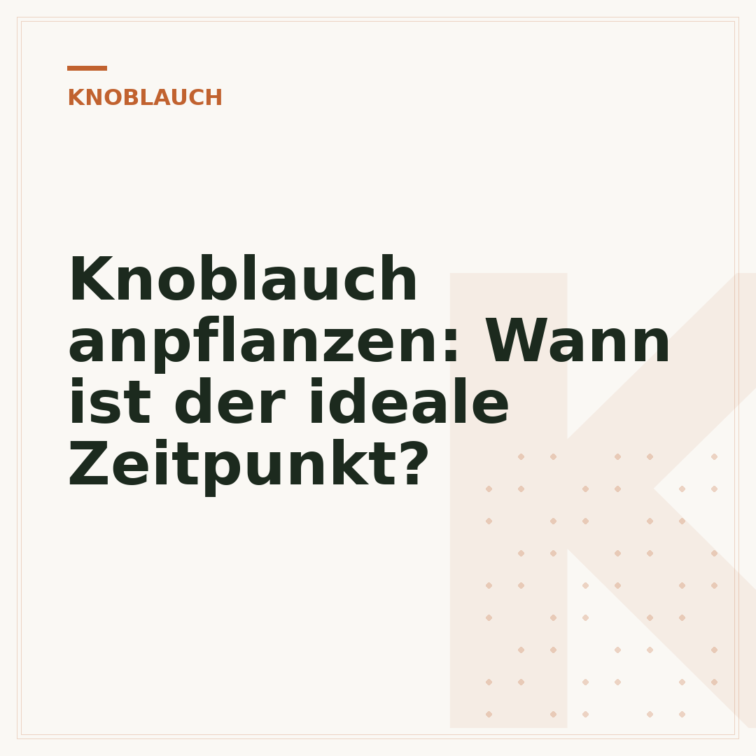Knoblauch anpflanzen: Wann ist der ideale Zeitpunkt?