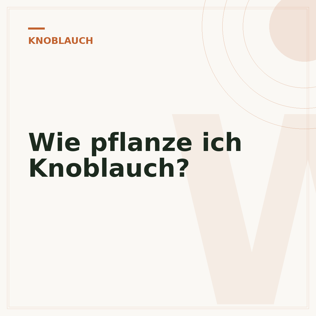 Wie pflanze ich Knoblauch?